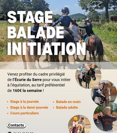 Stage d'équitation - Ecurie du Serre