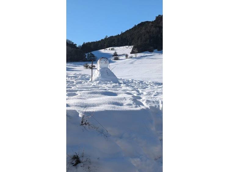 Photo 49 Le Galussel