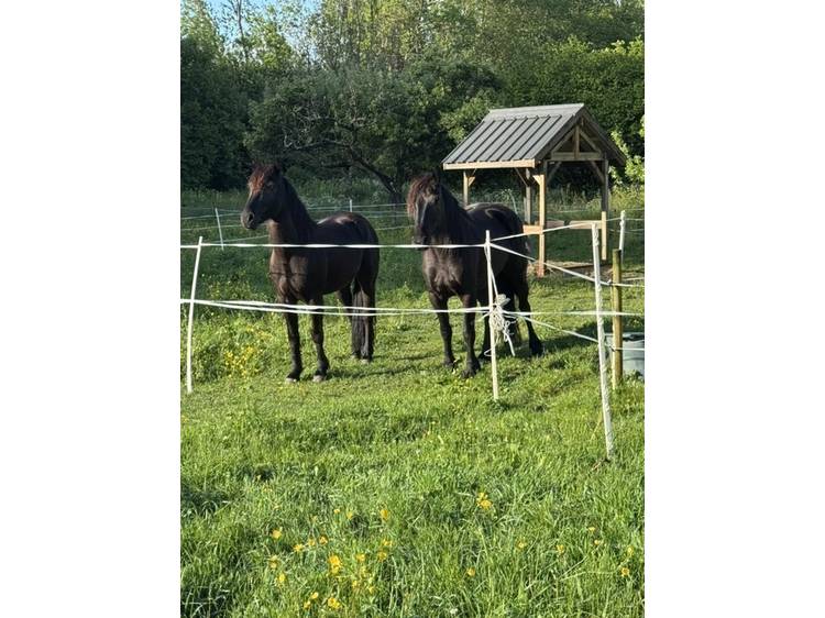 Photo 35 Chambres d'hôtes de la Ferme de Jonan