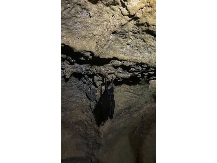 Photo 5 Spéléologie sportive - Grotte de la Résurrection avec Ecrins Spéléo Canyon
