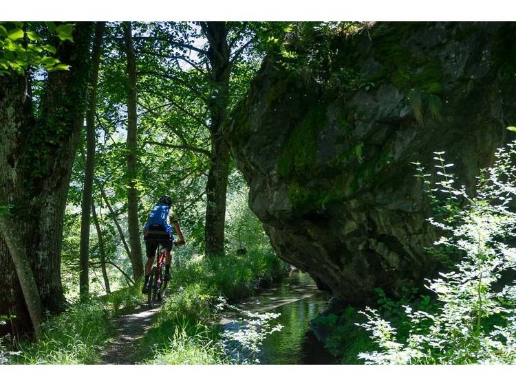 Photo 2 Randonnée à VTT accompagnée