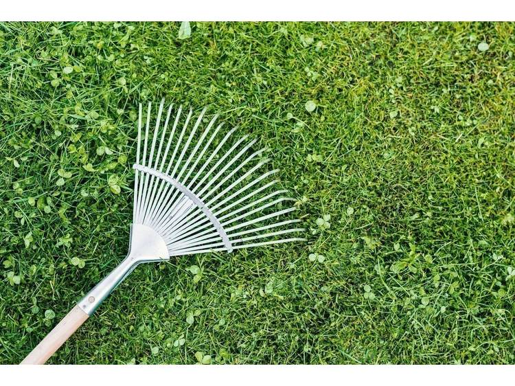 Photo 1 Entretien Espaces Verts