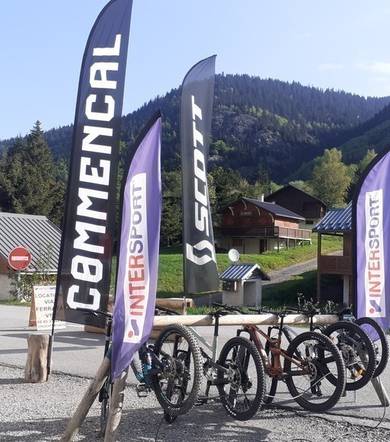 Vincent Sports Intersport