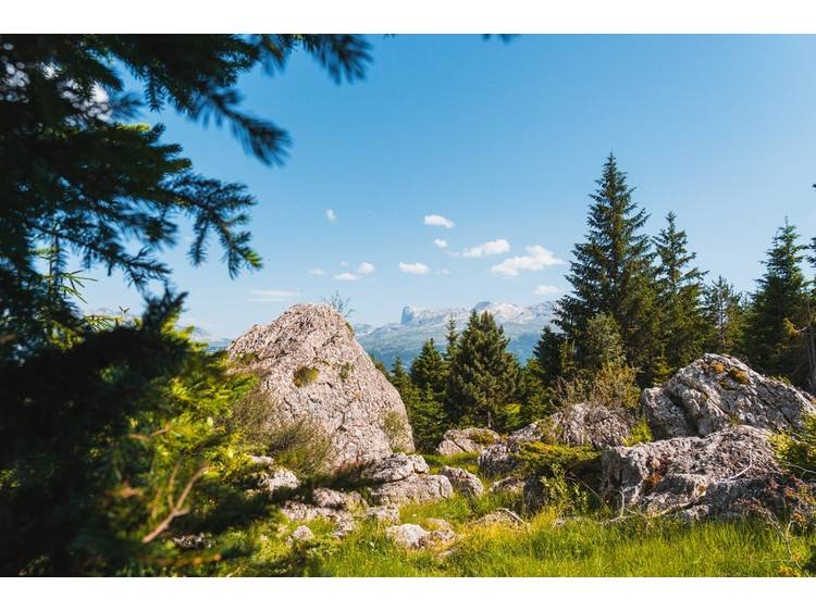 Photo 5 Tour de l'Obiou - Etape 4 - Lachaup > Pellafol