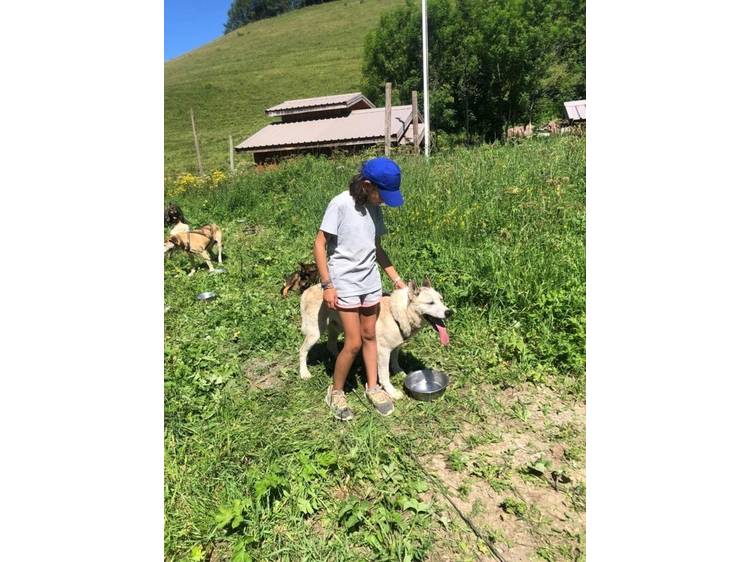 Photo 6 Colo Cani-Camp