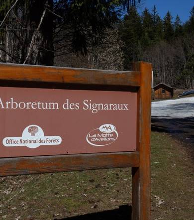 Le Bel Arboretum