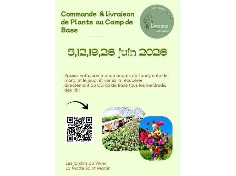 Photo 1 Commande & livraison de plants Garance étoilée