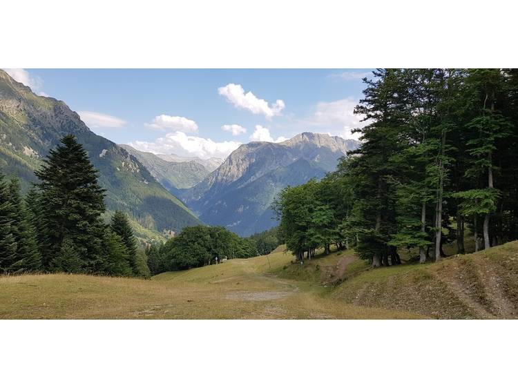 Photo 1 Sentier pédestre pour Les retours possible depuis le télésiège de la Blache