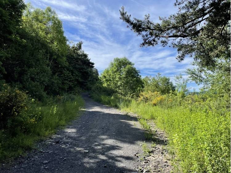 Photo 3 Randonnée pédestre : La Pierre Percée par La Motte d'Aveillans