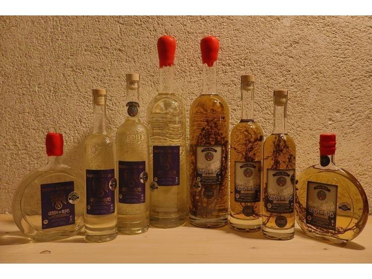 Photo 11 Maison Salettina - Distillerie