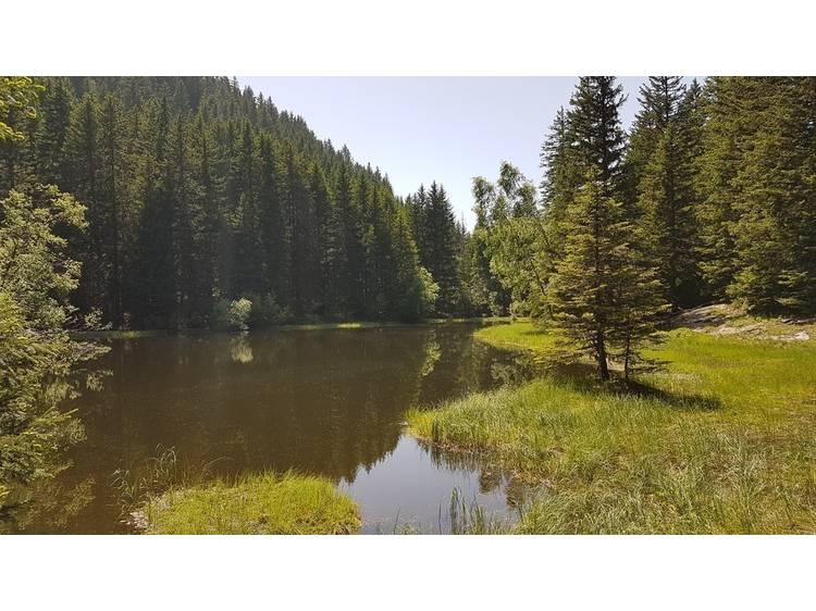Photo 2 Lac Punay