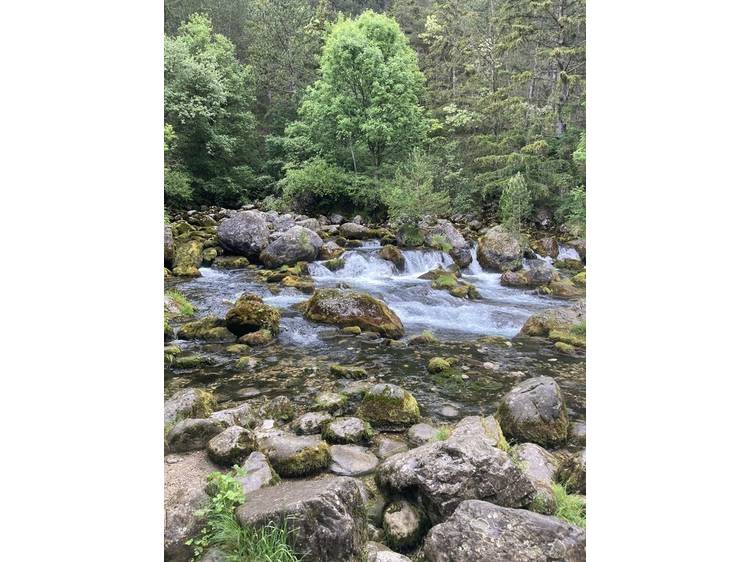 Photo 3 Espace Naturel Sensible Sources des Gillardes