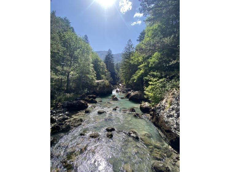 Photo 5 Espace Naturel Sensible Sources des Gillardes