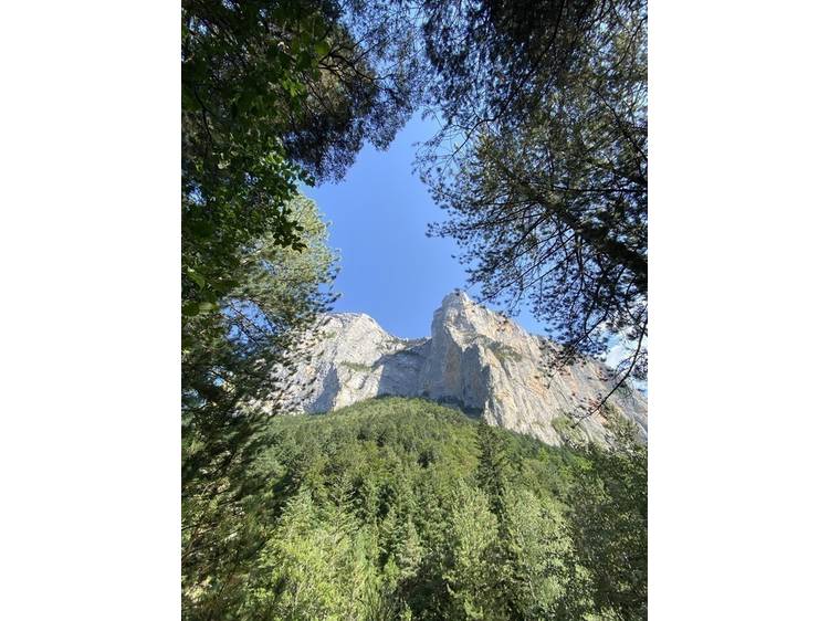 Photo 7 Espace Naturel Sensible Sources des Gillardes