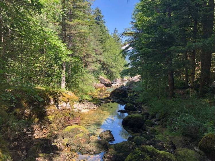 Photo 2 Espace Naturel Sensible Sources des Gillardes