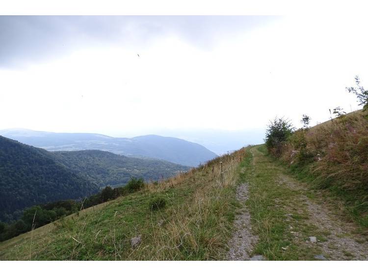 Photo 1 N°23 L'escargot VTT - Bleu