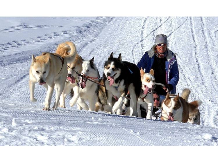 Photo 5 Studio 4 pers. Grizzli 2 - JASSERAND Guy - 3 flocons AGS Confort