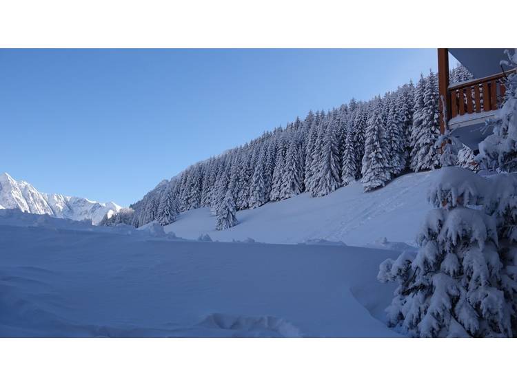 Photo 6 Studio 4 pers. Grizzli 2 - JASSERAND Guy - 3 flocons AGS Confort