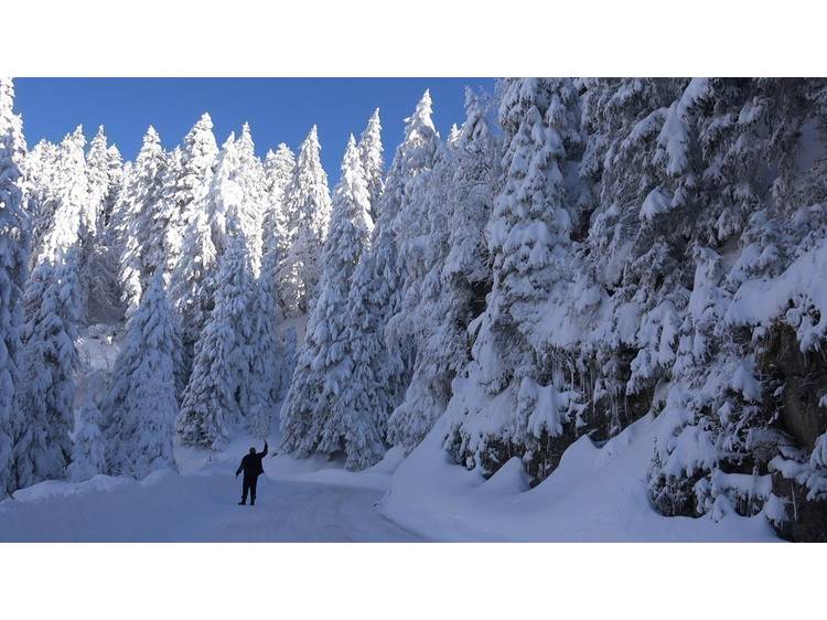 Photo 10 Studio 4 pers. Grizzli 2 - JASSERAND Guy - 3 flocons AGS Confort