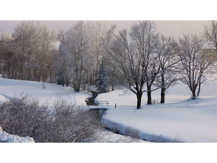 Photo 18 Studio 4 pers. Grizzli 2 - JASSERAND Guy - 3 flocons AGS Confort