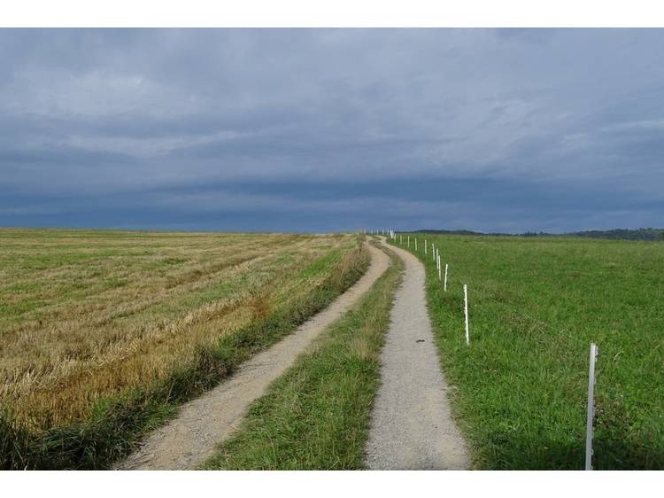 Photo 2 N°13 Les Bords de la Roizonne VTT - Noir