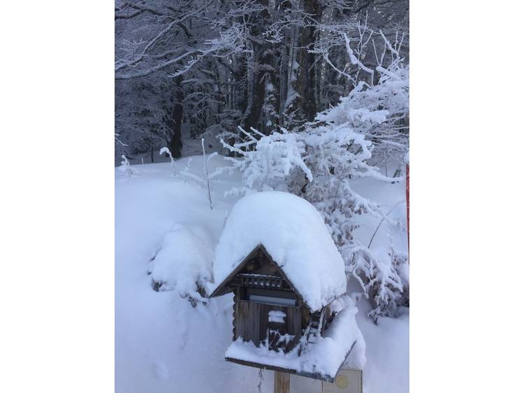 Photo 8 Appart. dans Chalet 4 pers - RUMPLER - 2 flocons AGS Confort