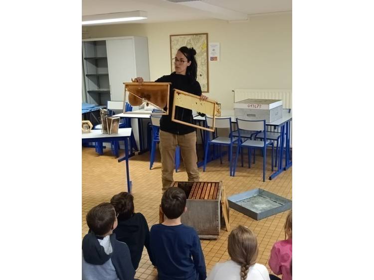 Photo 2 Apprendre à porter secours & Apiculture