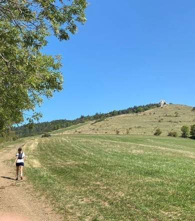 Les Creys - 14 km - Bleu