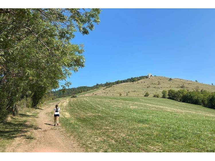 Photo 1 Les Creys - 14 km - Bleu