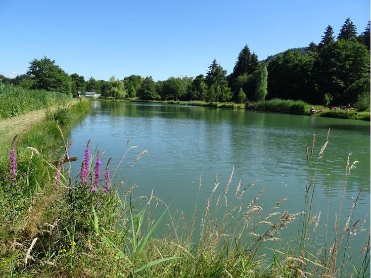 Photo 1 Rando-poussette de l'Etang du Crey-Itinéraire pédestre