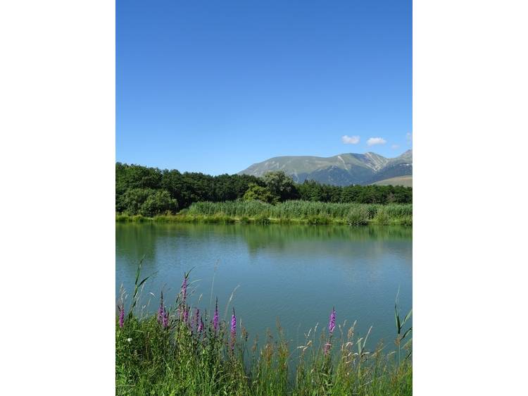 Photo 2 Rando-poussette de l'Etang du Crey-Itinéraire pédestre