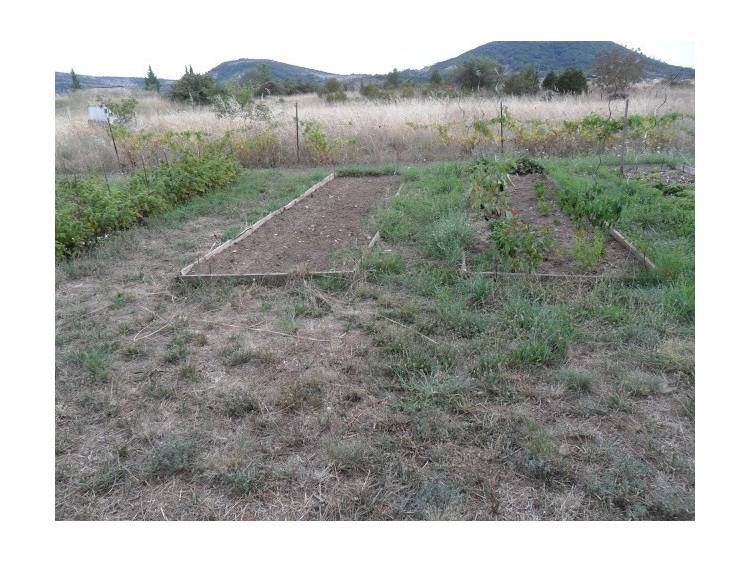 Photo 1 Le jardin de Prosper