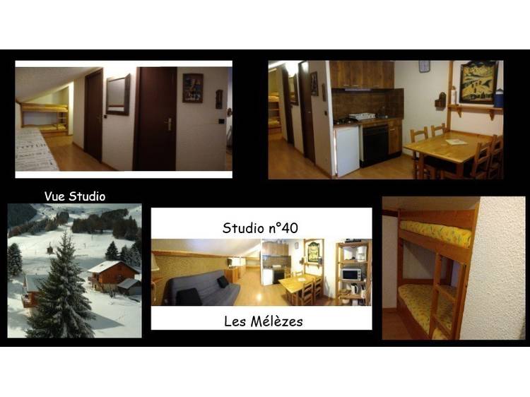 Photo 1 Studio 5 personnes - Les Mélèzes - SEYCHAL Eddy