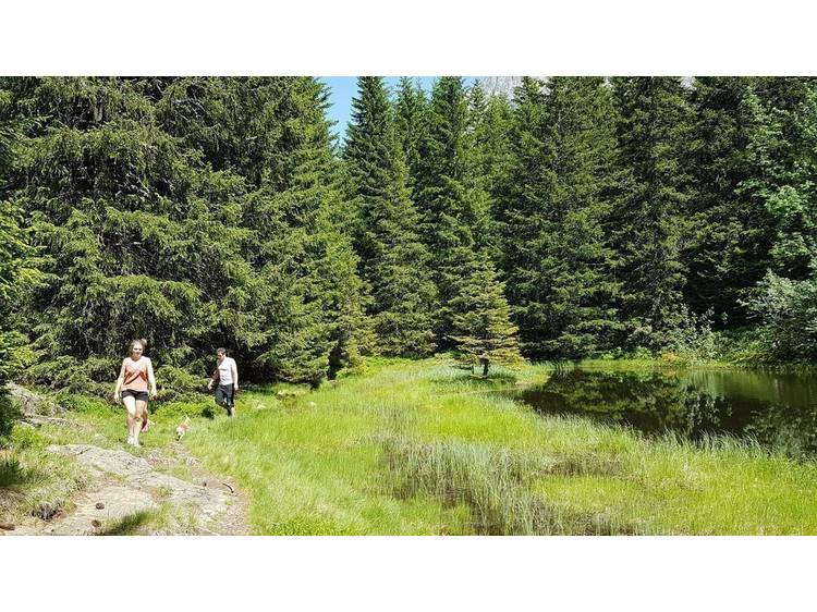 Photo 5 Itinéraire pédestre : Le sentier des 3 lacs