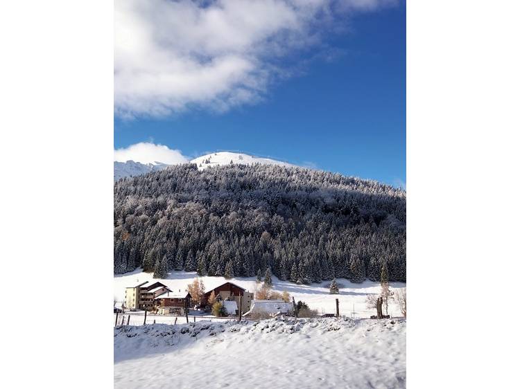 Photo 3 Studio La Marmotte - 4 pers - Kotzamanidis - 3 Flocons AGS Confort