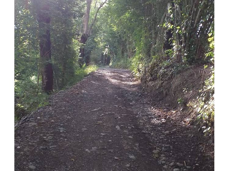 Photo 4 Promenade pédestre : Les Marais de Nantes en Rattier