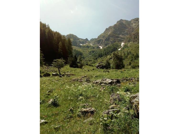Photo 6 Randonnée pédestre : Le lac de Rif Bruyant