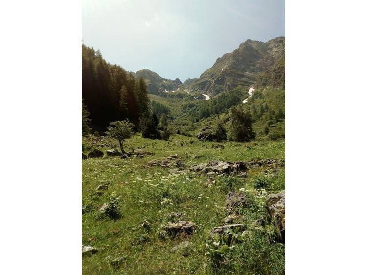 Photo 4 Le lac de Rif Bruyant