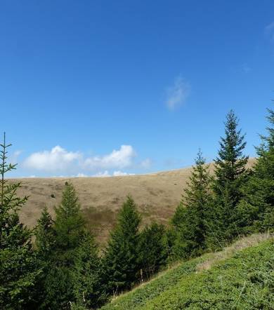 Randonnée pédestre : Col Nodry