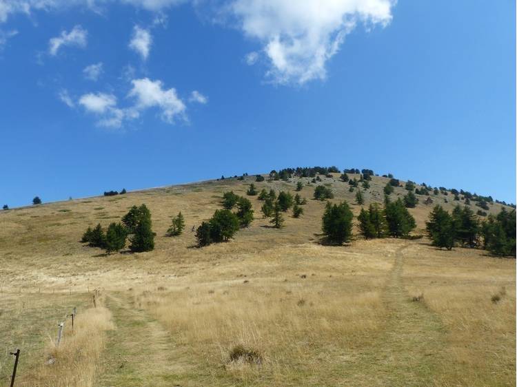 Photo 3 Col Nodry