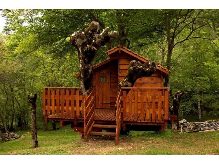 Photo 1 Yourte et Cabane du Rivobruenti