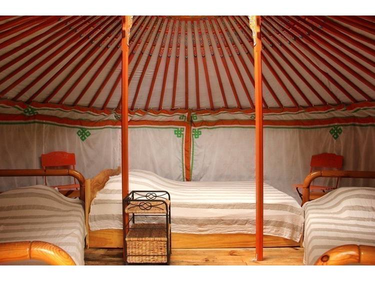 Photo 9 Yourte et Cabane du Rivobruenti